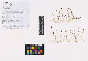 SW_BNB_s3040-04708_IMG-0000000001