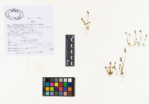 SW_BNB_s3040-04709_IMG-0000000001