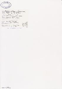 SW_BNB_s3040-04727_IMG-0000000001