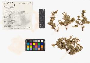 SW_BNB_s3040-04745_IMG-0000000001
