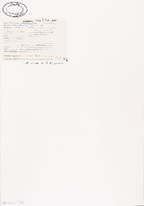 SW_BNB_s3040-04760_IMG-0000000001