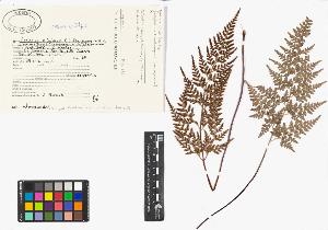 SW_BNB_s3040-04777_IMG-0000000001