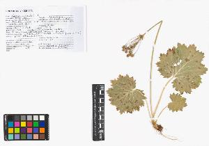 SW_BNB_s3040-04802_IMG-0000000001