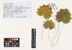 SW_BNB_s3040-04828_IMG-0000000001