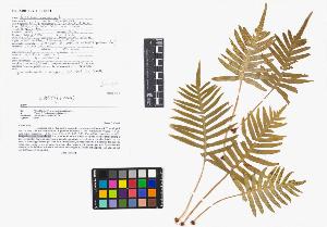SW_BNB_s3040-04849_IMG-0000000001