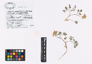 SW_BNB_s3040-04867_IMG-0000000001