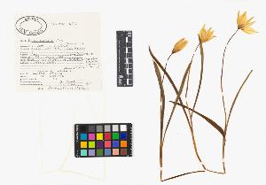 SW_BNB_s3040-04871_IMG-0000000001