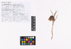 SW_BNB_s3040-04973_IMG-0000000001