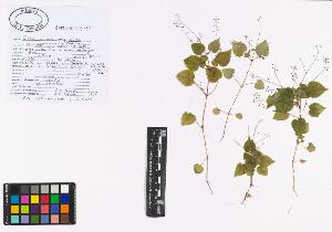 SW_BNB_s3040-04984_IMG-0000000001