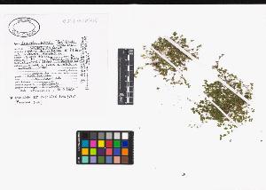 SW_BNB_s3040-05031_IMG-0000000001