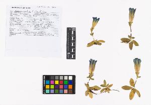 SW_BNB_s3040-05039_IMG-0000000001