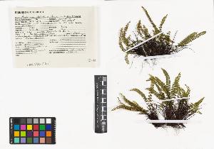 SW_BNB_s3040-05112_IMG-0000000001