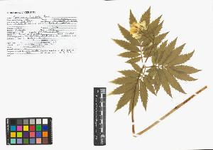 SW_BNB_s3040-05119_IMG-0000000001