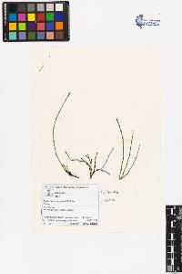 SW_BNB_s3070-00024_IMG-0000000001