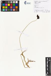 SW_BNB_s3070-00026_IMG-0000000001