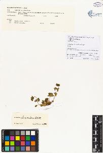 SW_BNB_s3070-00028_IMG-0000000001