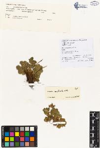 SW_BNB_s3070-00031_IMG-0000000001