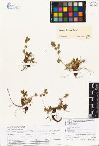 SW_BNB_s3070-00033_IMG-0000000001