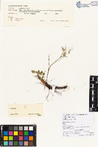 SW_BNB_s3070-00034_IMG-0000000001