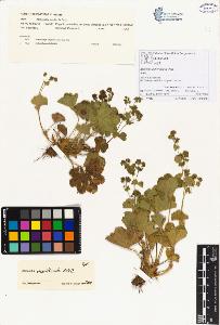 SW_BNB_s3070-00036_IMG-0000000001