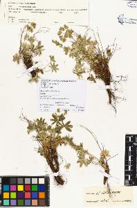 SW_BNB_s3070-00042_IMG-0000000001