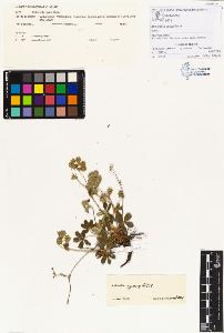 SW_BNB_s3070-00043_IMG-0000000001