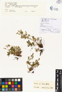 SW_BNB_s3070-00044_IMG-0000000001