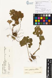 SW_BNB_s3070-00049_IMG-0000000001