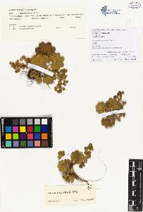 SW_BNB_s3070-00050_IMG-0000000001