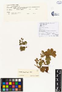 SW_BNB_s3070-00051_IMG-0000000001