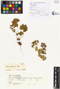 SW_BNB_s3070-00054_IMG-0000000001