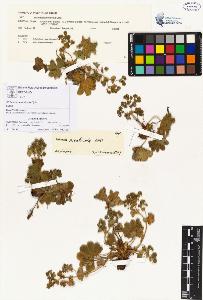 SW_BNB_s3070-00055_IMG-0000000001