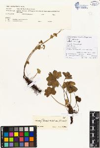 SW_BNB_s3070-00058_IMG-0000000001