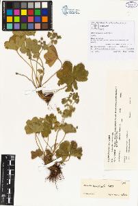 SW_BNB_s3070-00060_IMG-0000000001