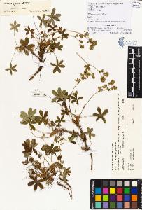 SW_BNB_s3070-00061_IMG-0000000001