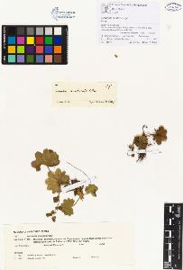 SW_BNB_s3070-00062_IMG-0000000001