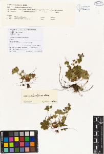 SW_BNB_s3070-00064_IMG-0000000001