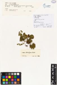 SW_BNB_s3070-00065_IMG-0000000001