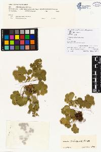 SW_BNB_s3070-00066_IMG-0000000001