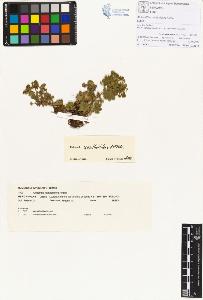 SW_BNB_s3070-00069_IMG-0000000001