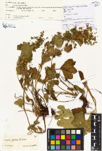 SW_BNB_s3070-00071_IMG-0000000001