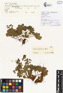 SW_BNB_s3070-00073_IMG-0000000001
