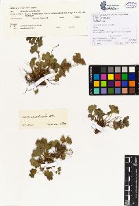SW_BNB_s3070-00074_IMG-0000000001