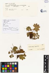 SW_BNB_s3070-00079_IMG-0000000001