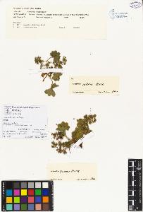 SW_BNB_s3070-00081_IMG-0000000001