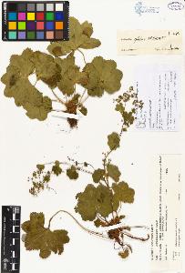 SW_BNB_s3070-00083_IMG-0000000001