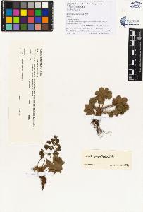 SW_BNB_s3070-00093_IMG-0000000001