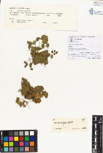 SW_BNB_s3070-00096_IMG-0000000001