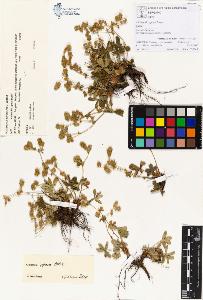SW_BNB_s3070-00097_IMG-0000000001