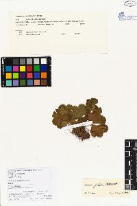 SW_BNB_s3070-00098_IMG-0000000001